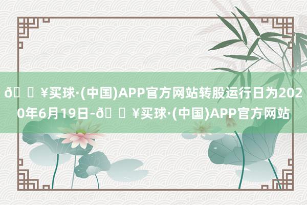 🔥买球·(中国)APP官方网站转股运行日为2020年6月19日-🔥买球·(中国)APP官方网站