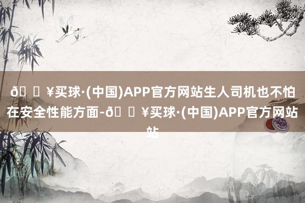 🔥买球·(中国)APP官方网站生人司机也不怕在安全性能方面-🔥买球·(中国)APP官方网站