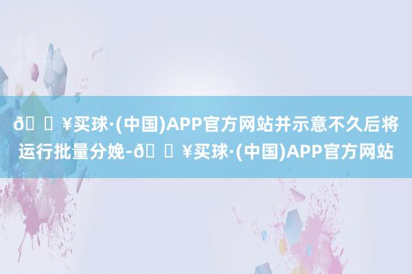 🔥买球·(中国)APP官方网站并示意不久后将运行批量分娩-🔥买球·(中国)APP官方网站