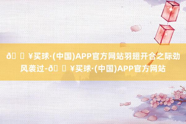 🔥买球·(中国)APP官方网站羽翅开合之际劲风袭过-🔥买球·(中国)APP官方网站