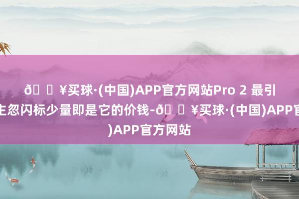 🔥买球·(中国)APP官方网站Pro 2 最引东说念主忽闪标少量即是它的价钱-🔥买球·(中国)APP官方网站