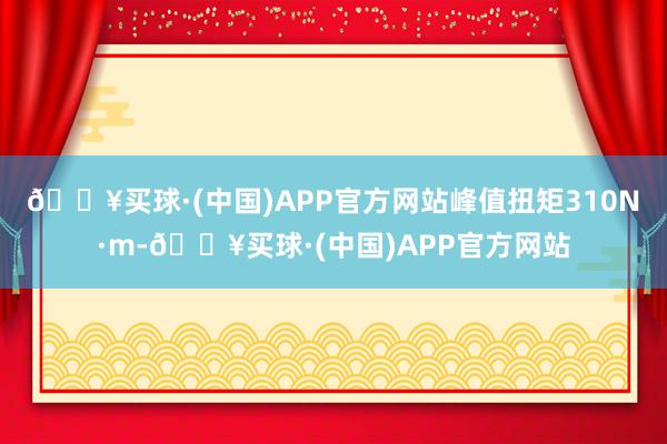 🔥买球·(中国)APP官方网站峰值扭矩310N·m-🔥买球·(中国)APP官方网站