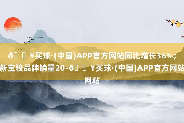 🔥买球·(中国)APP官方网站同比增长36%；新宝骏品牌销量20-🔥买球·(中国)APP官方网站