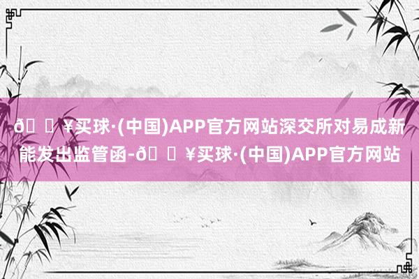 🔥买球·(中国)APP官方网站深交所对易成新能发出监管函-🔥买球·(中国)APP官方网站