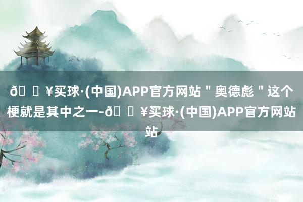 🔥买球·(中国)APP官方网站＂奥德彪＂这个梗就是其中之一-🔥买球·(中国)APP官方网站