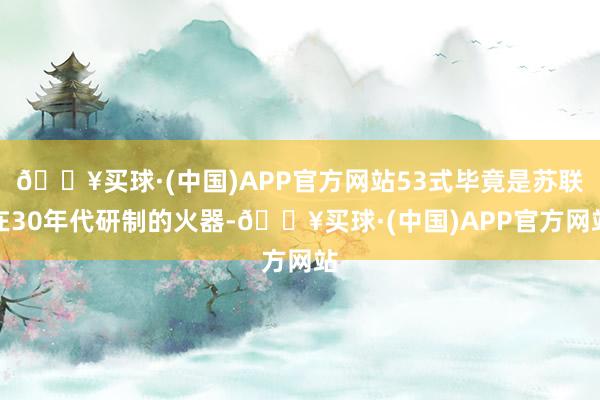 🔥买球·(中国)APP官方网站53式毕竟是苏联在30年代研制的火器-🔥买球·(中国)APP官方网站