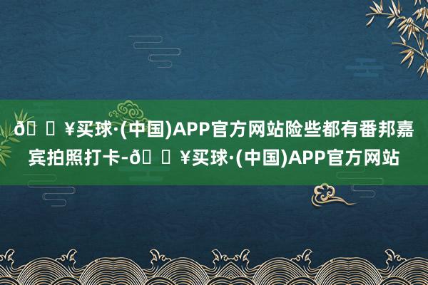 🔥买球·(中国)APP官方网站险些都有番邦嘉宾拍照打卡-🔥买球·(中国)APP官方网站