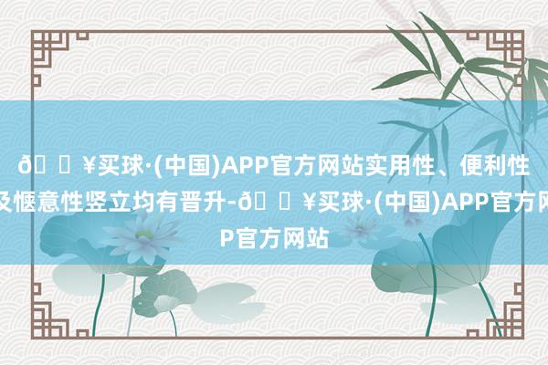 🔥买球·(中国)APP官方网站实用性、便利性以及惬意性竖立均有晋升-🔥买球·(中国)APP官方网站