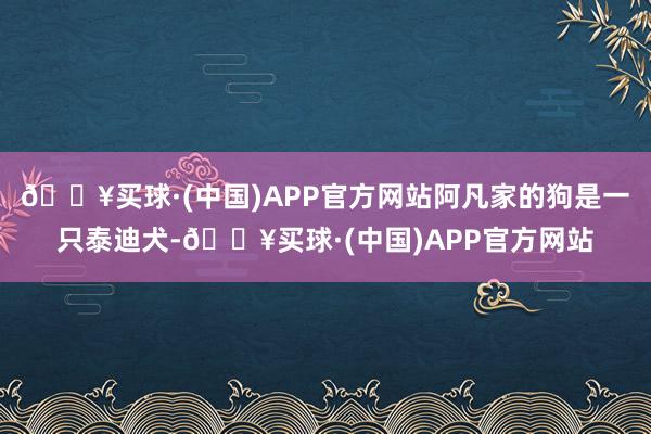 🔥买球·(中国)APP官方网站阿凡家的狗是一只泰迪犬-🔥买球·(中国)APP官方网站