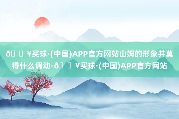 🔥买球·(中国)APP官方网站山姆的形象并莫得什么调动-🔥买球·(中国)APP官方网站