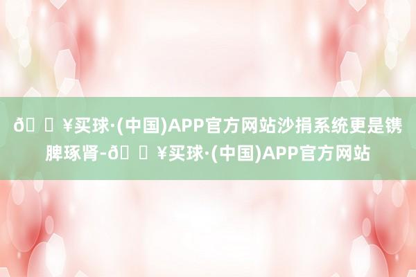 🔥买球·(中国)APP官方网站沙捐系统更是镌脾琢肾-🔥买球·(中国)APP官方网站