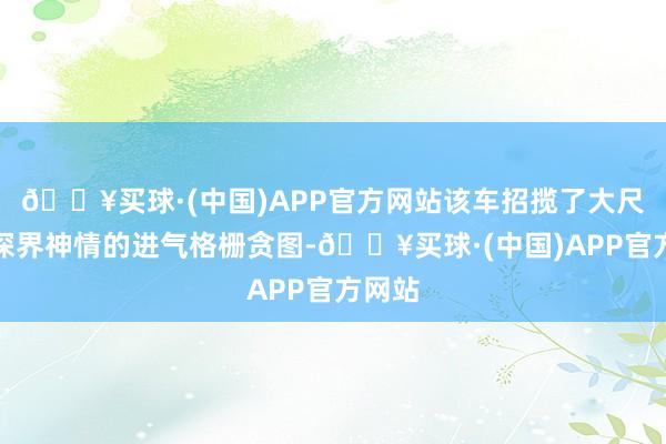 🔥买球·(中国)APP官方网站该车招揽了大尺寸精深界神情的进气格栅贪图-🔥买球·(中国)APP官方网站