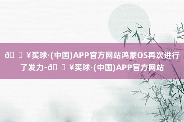 🔥买球·(中国)APP官方网站鸿蒙OS再次进行了发力-🔥买球·(中国)APP官方网站