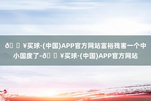 🔥买球·(中国)APP官方网站富裕残害一个中小国度了-🔥买球·(中国)APP官方网站