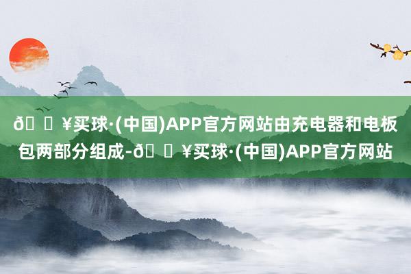 🔥买球·(中国)APP官方网站由充电器和电板包两部分组成-🔥买球·(中国)APP官方网站