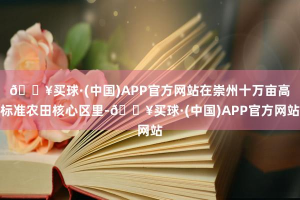 🔥买球·(中国)APP官方网站在崇州十万亩高标准农田核心区里-🔥买球·(中国)APP官方网站