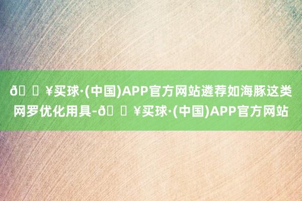 🔥买球·(中国)APP官方网站遴荐如海豚这类网罗优化用具-🔥买球·(中国)APP官方网站