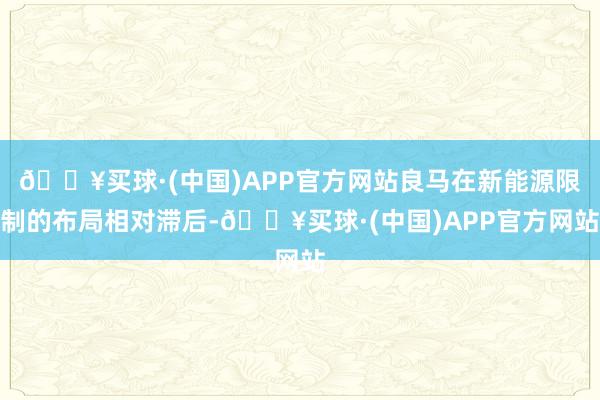 🔥买球·(中国)APP官方网站良马在新能源限制的布局相对滞后-🔥买球·(中国)APP官方网站