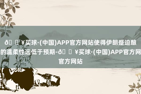 🔥买球·(中国)APP官方网站使得伊朗蹙迫酿成的温柔性远低于预期-🔥买球·(中国)APP官方网站