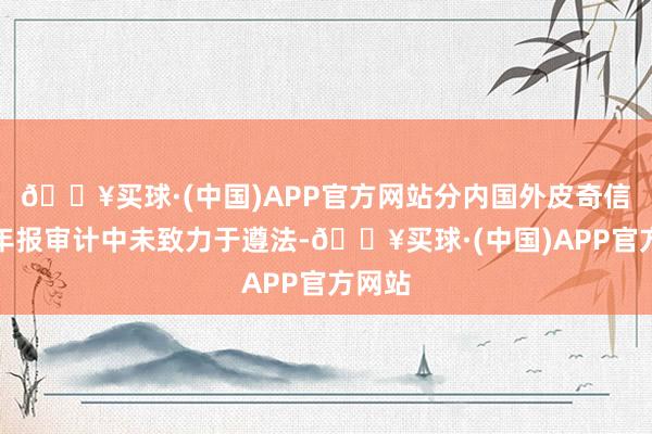 🔥买球·(中国)APP官方网站分内国外皮奇信股份年报审计中未致力于遵法-🔥买球·(中国)APP官方网站