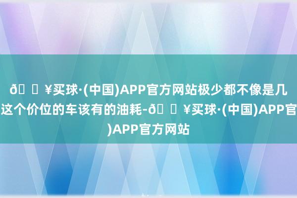 🔥买球·(中国)APP官方网站极少都不像是几万块钱这个价位的车该有的油耗-🔥买球·(中国)APP官方网站