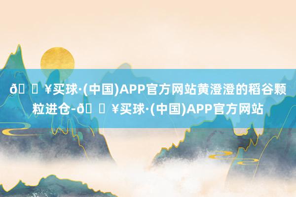 🔥买球·(中国)APP官方网站黄澄澄的稻谷颗粒进仓-🔥买球·(中国)APP官方网站