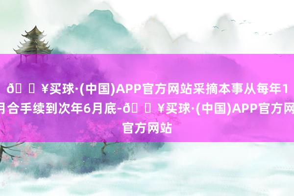 🔥买球·(中国)APP官方网站采摘本事从每年10月合手续到次年6月底-🔥买球·(中国)APP官方网站