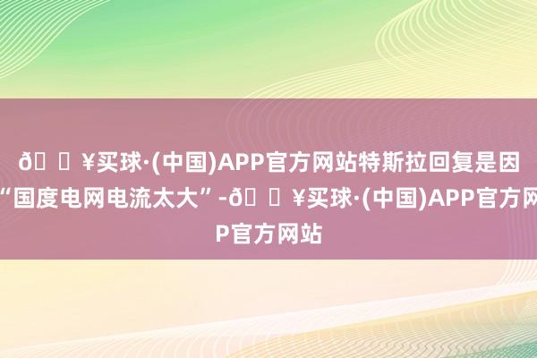 🔥买球·(中国)APP官方网站特斯拉回复是因为“国度电网电流太大”-🔥买球·(中国)APP官方网站