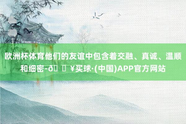 欧洲杯体育他们的友谊中包含着交融、真诚、温顺和细密-🔥买球·(中国)APP官方网站