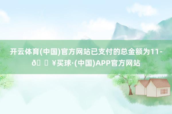 开云体育(中国)官方网站已支付的总金额为11-🔥买球·(中国)APP官方网站