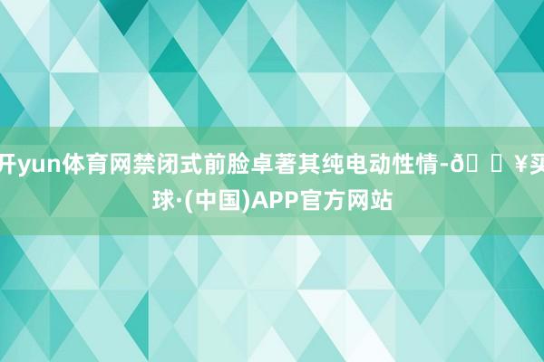 开yun体育网禁闭式前脸卓著其纯电动性情-🔥买球·(中国)APP官方网站