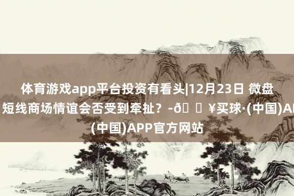 体育游戏app平台投资有看头|12月23日 微盘股大幅着落 短线商场情谊会否受到牵扯？-🔥买球·(中国)APP官方网站