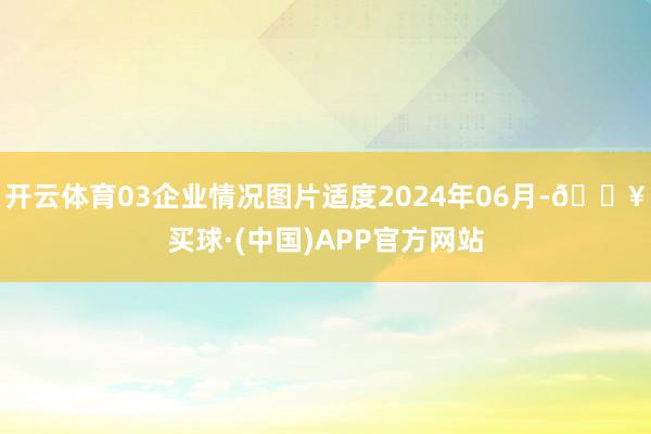 开云体育03企业情况图片适度2024年06月-🔥买球·(中国)APP官方网站