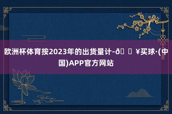 欧洲杯体育按2023年的出货量计-🔥买球·(中国)APP官方网站