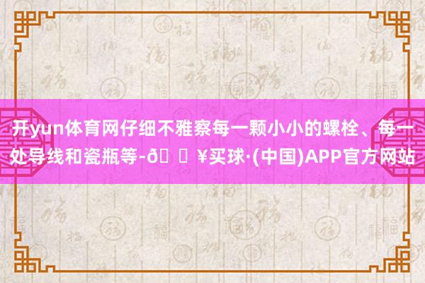 开yun体育网仔细不雅察每一颗小小的螺栓、每一处导线和瓷瓶等-🔥买球·(中国)APP官方网站