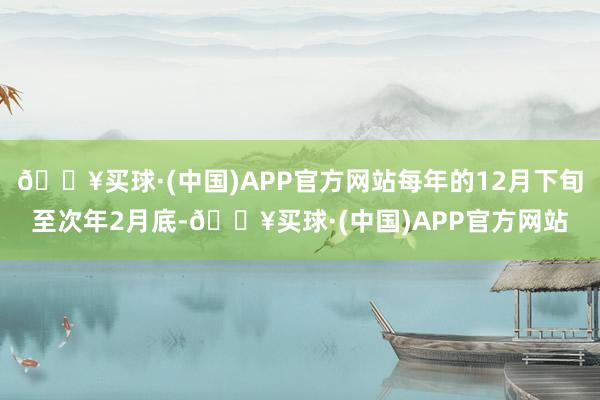 🔥买球·(中国)APP官方网站每年的12月下旬至次年2月底-🔥买球·(中国)APP官方网站