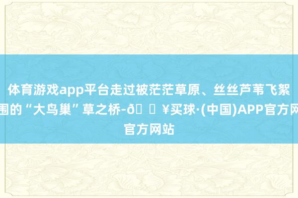 体育游戏app平台走过被茫茫草原、丝丝芦苇飞絮包围的“大鸟巢”草之桥-🔥买球·(中国)APP官方网站